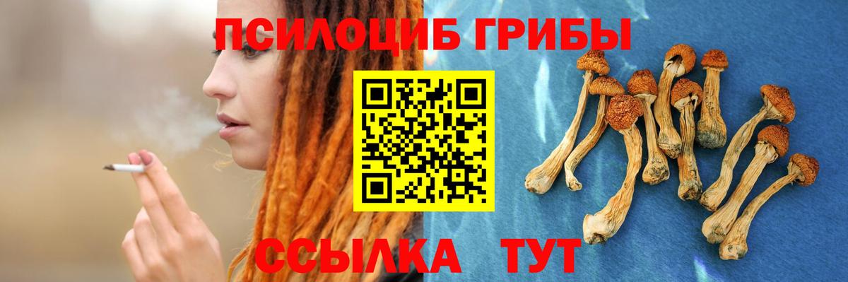 Галлюциногенные грибы мицелий Лабытнанги
